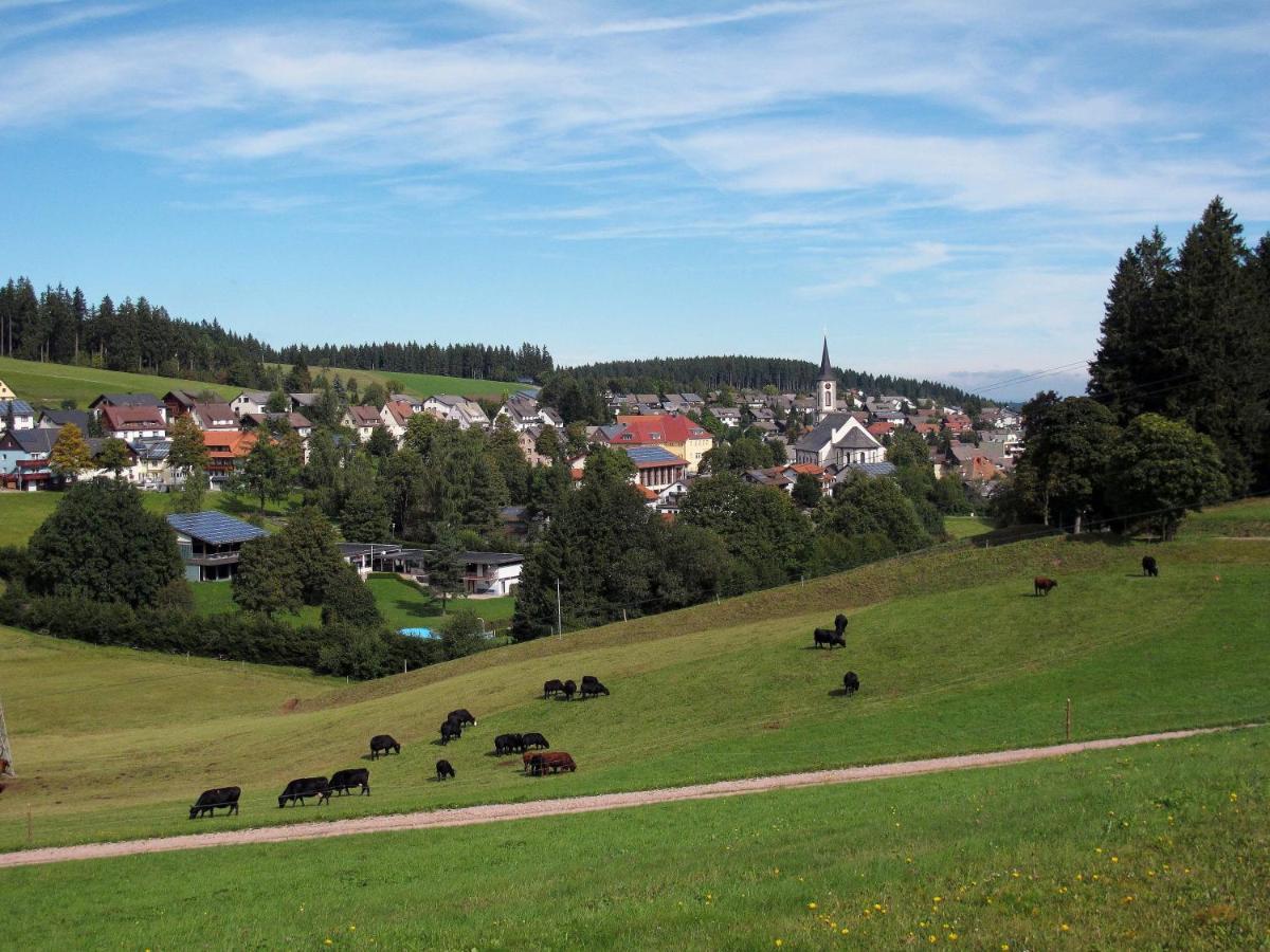 Landhotel Garni Schweizerhaus Schönwalde المظهر الخارجي الصورة