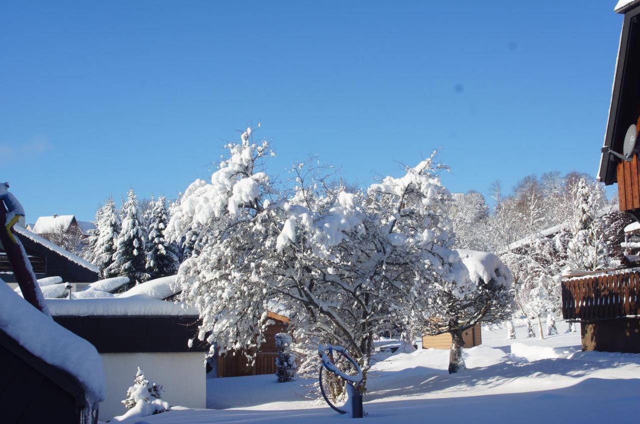 Landhotel Garni Schweizerhaus Schönwalde المظهر الخارجي الصورة